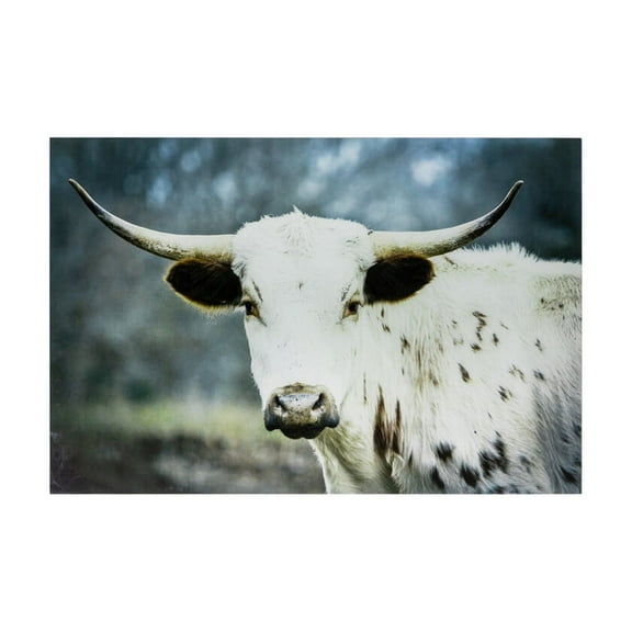 Yosemite Home Decor Close Up Wall Art