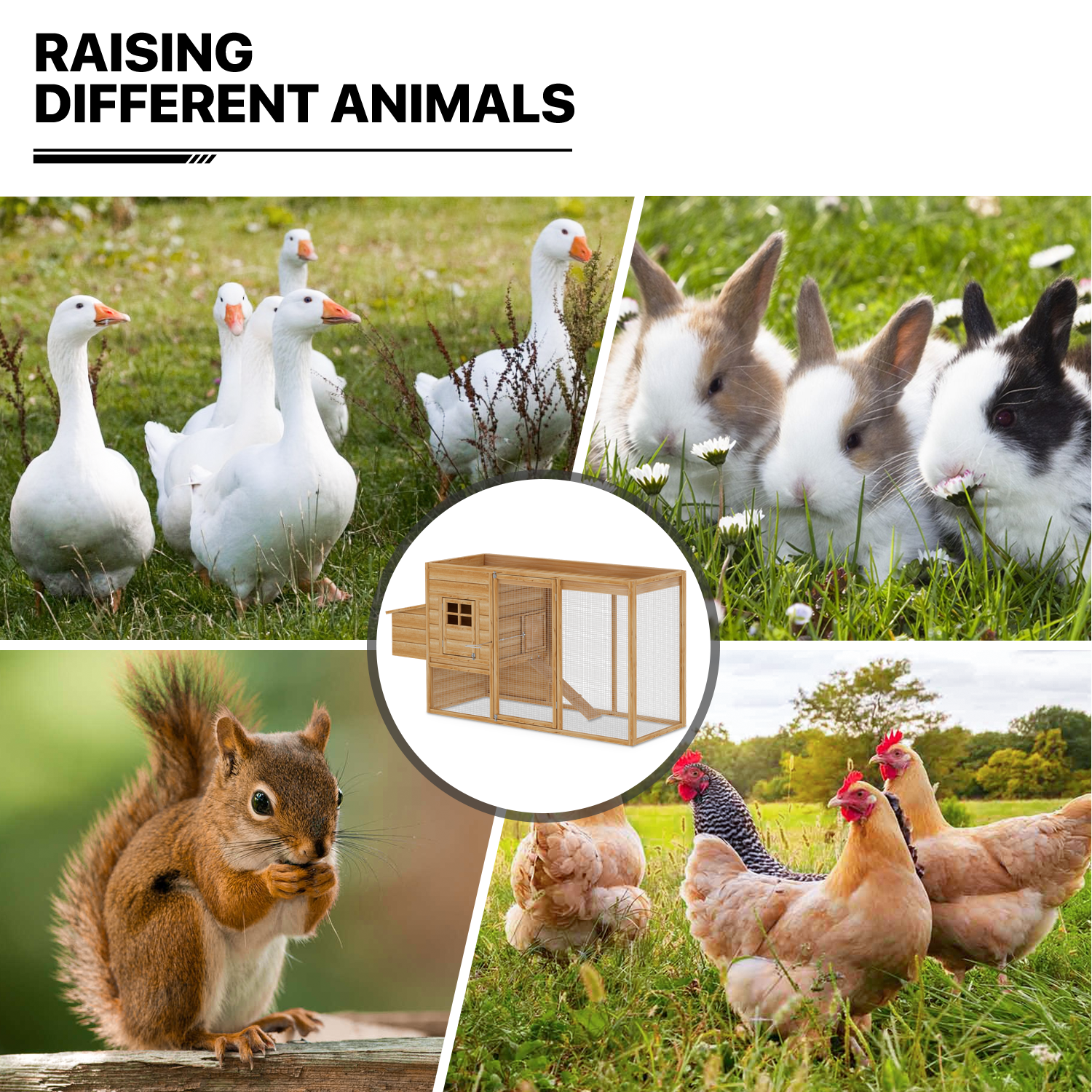 MoNiBloom Outdoor Chicken Coop with Nesting Box, Outdoor Hen Run House with Slide-Out Tray and Sliding Door, Weatherproof Poultry Cage, Rabbit Hutch, Wood Duck House (Natural)