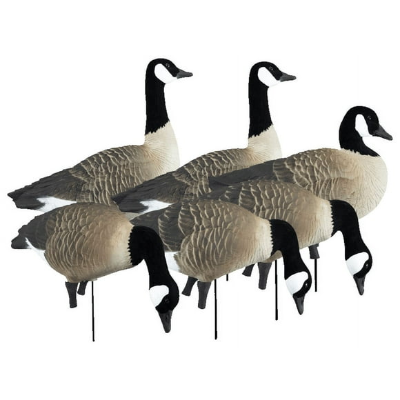 Higdon Outdoors Apex Full Size Canada Goose Decoy Variety Pack