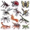 thumbnail image 1 of Simulation Miniature Insects Figurines Animal Set Teaching Aids Model Spider Butterfly Biology Education Toys Landscape OrnamentBL-5109 He Qiyong unisex, 1 of 1