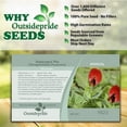 thumbnail image 3 of Outsidepride Asparagus Pea Flowering Herb Seed - 200 Seeds, 3 of 6