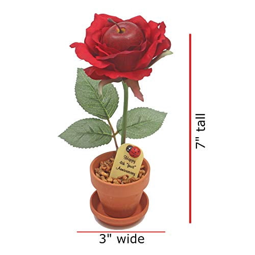 perfect present for wife