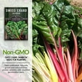 thumbnail image 3 of 3 Packs Rainbow Swiss Chard Seeds - Non-GMO Heirloom Full Sun Annual Vegetable, 3 of 7