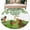 White, variant on Entryway Rug 2'x3', Green St. Patrick's Day Small Rug for Kitchen Bathroom Door Mat Indoor Entrance, Green Lucky Clovers Dog Non-Slip Area Rugs Floor Mats Carpet Front Door Rugs