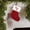 Y, variant on 7.5 Inch Knitted Christmas Stockings with Embroidered Initials Red White Letter Stocking for Family Holiday Decor Xmas Tree Fireplace Hanging Decorations