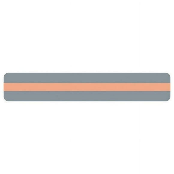 Ashley Productions ASH10811 Reading Guide Strips, Peach