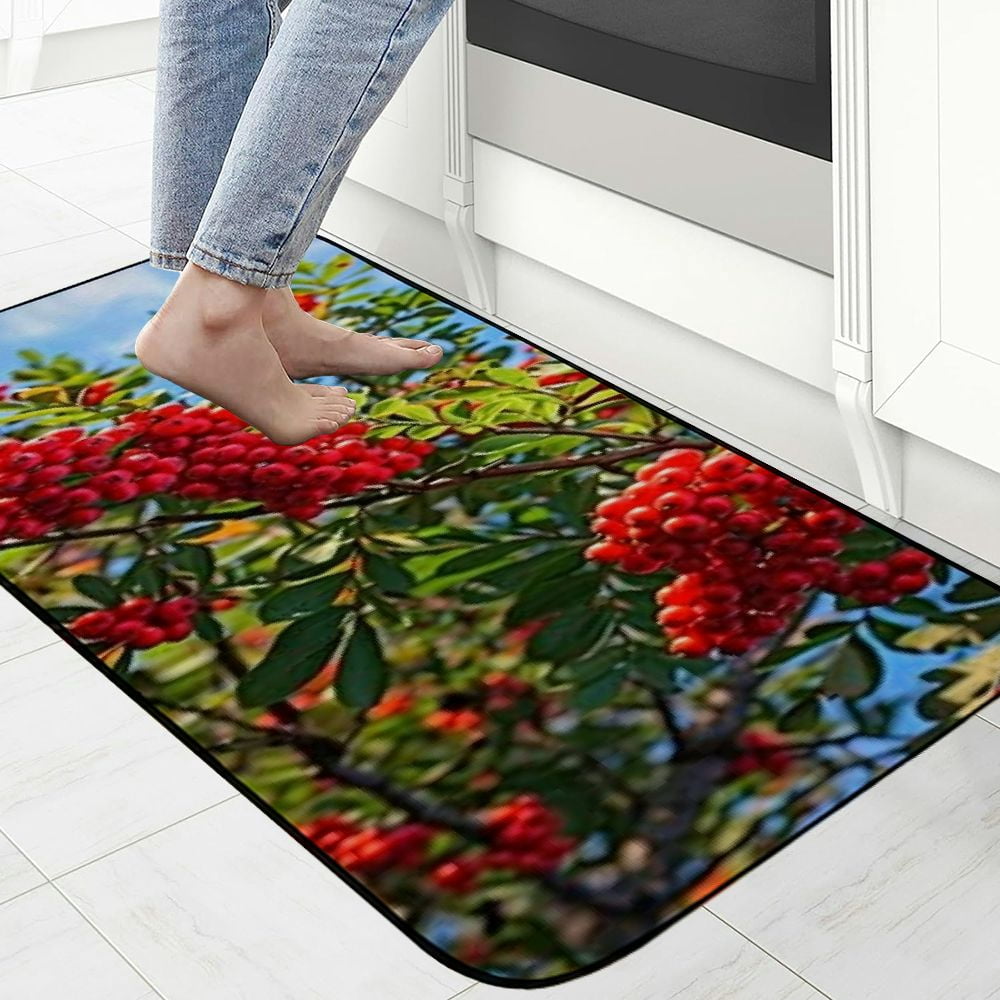 PHYHOO Decorative Door Mat, Door Mat with Non-Slip Rubber Backing, Easy Cleaning, Traps Dirt, Rug for Entry, Patio, Garage - Mountain Ash Ash Berries Red Rowan 19.68*47.24 in