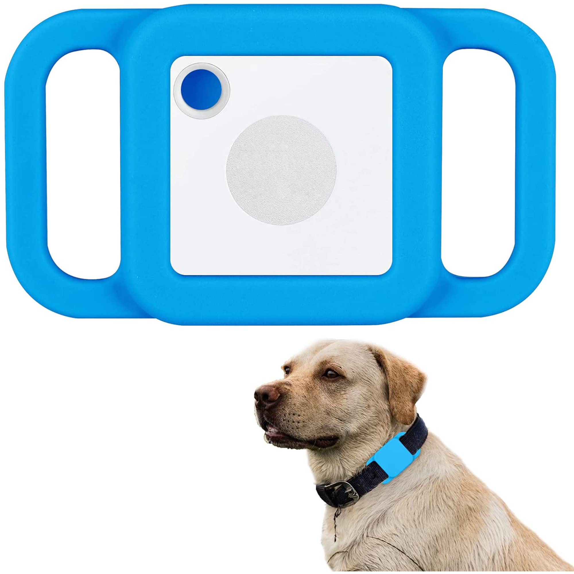 Can I Use Tile To Track My Dog