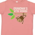 thumbnail image 4 of Inktastic Grandma's Little Monkey Grandchild Boys or Girls Toddler T-Shirt, 4 of 5