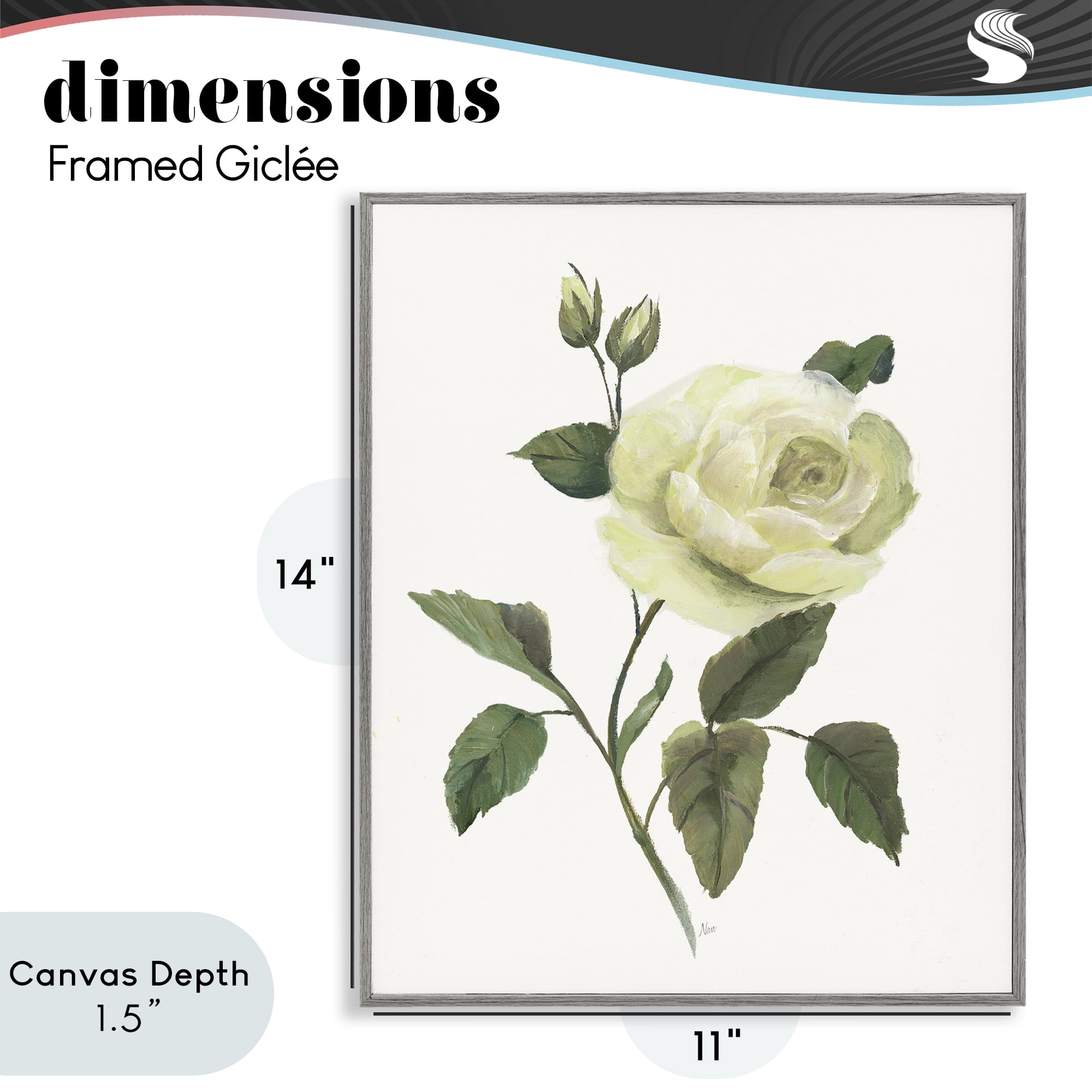 Stupell Industries Cream Garden Rose with Buds Gray Framed Giclee Art, design by Nan