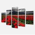 thumbnail image 2 of Rows of Bright Ruby Red Tulips - Large Landscape Canvas Art, 2 of 3