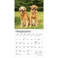 thumbnail image 4 of Golden Retrievers | 2026 7x14" (Hanging) Monthly Mini Wall Calendar | BrownTrout, 4 of 9