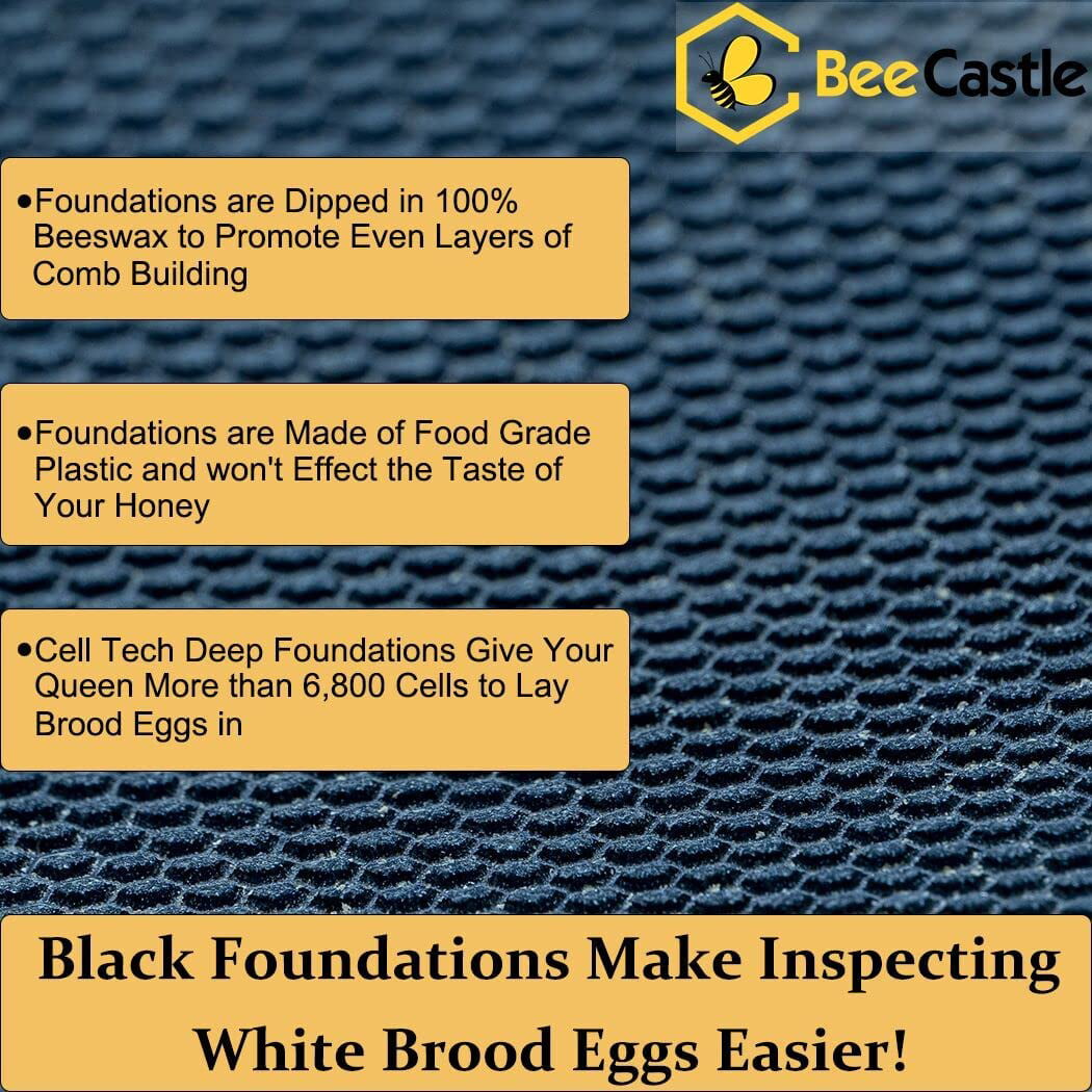 BZ100P pkg of 10 Deep Plastic Foundation Beeswax Coated 