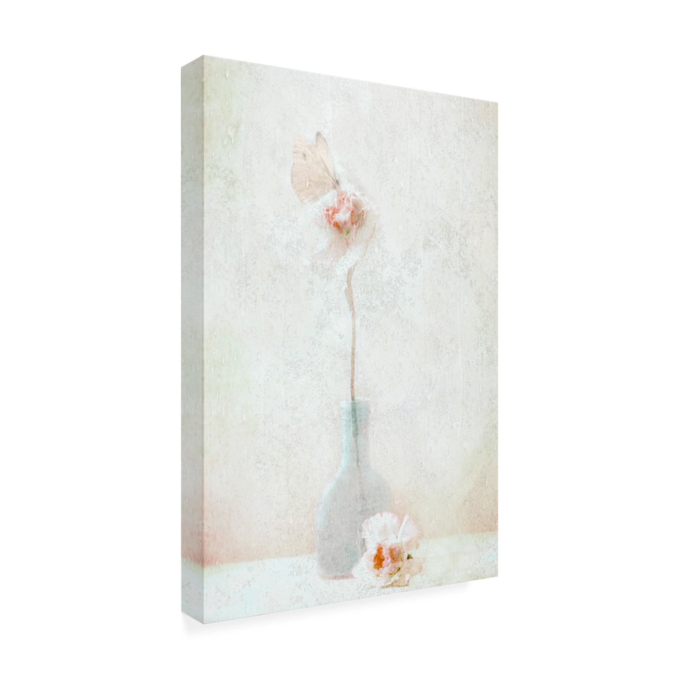 Canvas Wall Art - Delphine Devos 'An Ephemeral Moment' Wall Art for Living Room, Bedroom, or Office Décor by Trademark Fine Art - 30 x 47 Inches