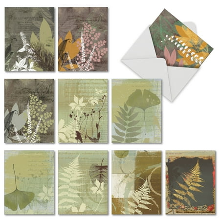 M2985OCB LAYERED LEAVES' 10 Assorted All Occasions Greeting Cards Featuring Silhouette Fern Designs Against Collage Background, with Envelopes by The Best Card