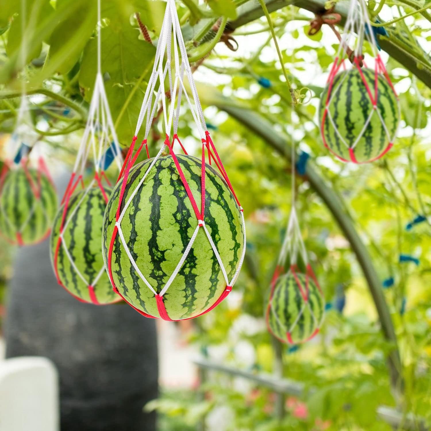 NANAHuang 20Pcs Melon Hammocks Cradles, Melon Hammock for Trellis Heavy Duty Watermelon Nets, Pumpkin Support Hanging Bags for Growing Cantaloupes Honeydew, 16inches Long, Bear for 30lbs