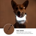 thumbnail image 2 of OUNONA 1Pcs LED Running Belt Strap ABS Light for Dog Walking at Night, 2 of 8