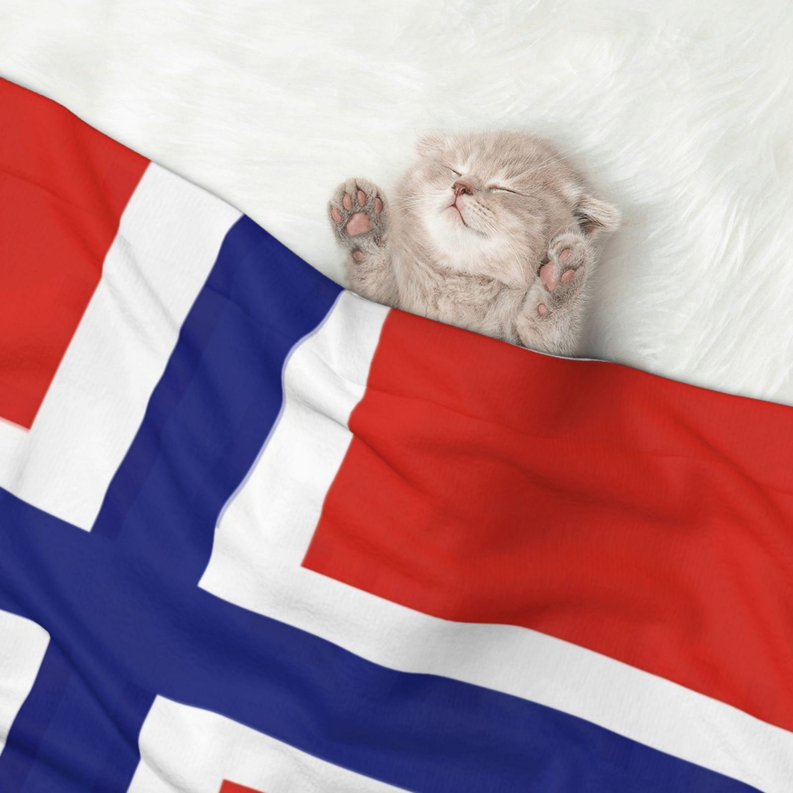 Flannel Throw Dog Blanket Norwegian Flag Soft Warm Print Pet Blankets for Small Dog Cat Puppy