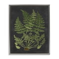 thumbnail image 5 of Stupell Industries Botanical Drawing Green Black Design Luster Gray Framed Floating Canvas Wall Art, 16x20, by Lettered and Lined, 5 of 5