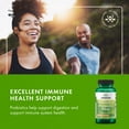 thumbnail image 6 of Swanson Prebiotic + Probiotic Fiber - Natural Supplement Promoting Digestive System & Immune Health Support - Aids Regularity & GI Tract Health - (60 Capsules, 500 Million CFU Each) (2 Pack), 6 of 7