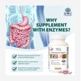 thumbnail image 4 of NWC Naturals Ultra-Enzyme Support Dietary Supplement, 200 Count, 4 of 10