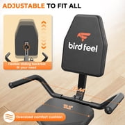 LNOW Recumbent Stationary Bike for Home with Arm Exerciser , Low-Impact Cardio & Physical Therapy for Seniors