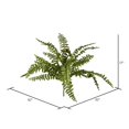 thumbnail image 3 of Vickerman VICK-FV191917 Vickerman 17" Green Boston Fern Bush - FV191917, 3 of 3