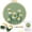 Green Daisy, variant on Punch Needle Kits for Beginner, Daisy Flower Punch Needle Embroidery Starter Kit, Punch Needle Kit Tool