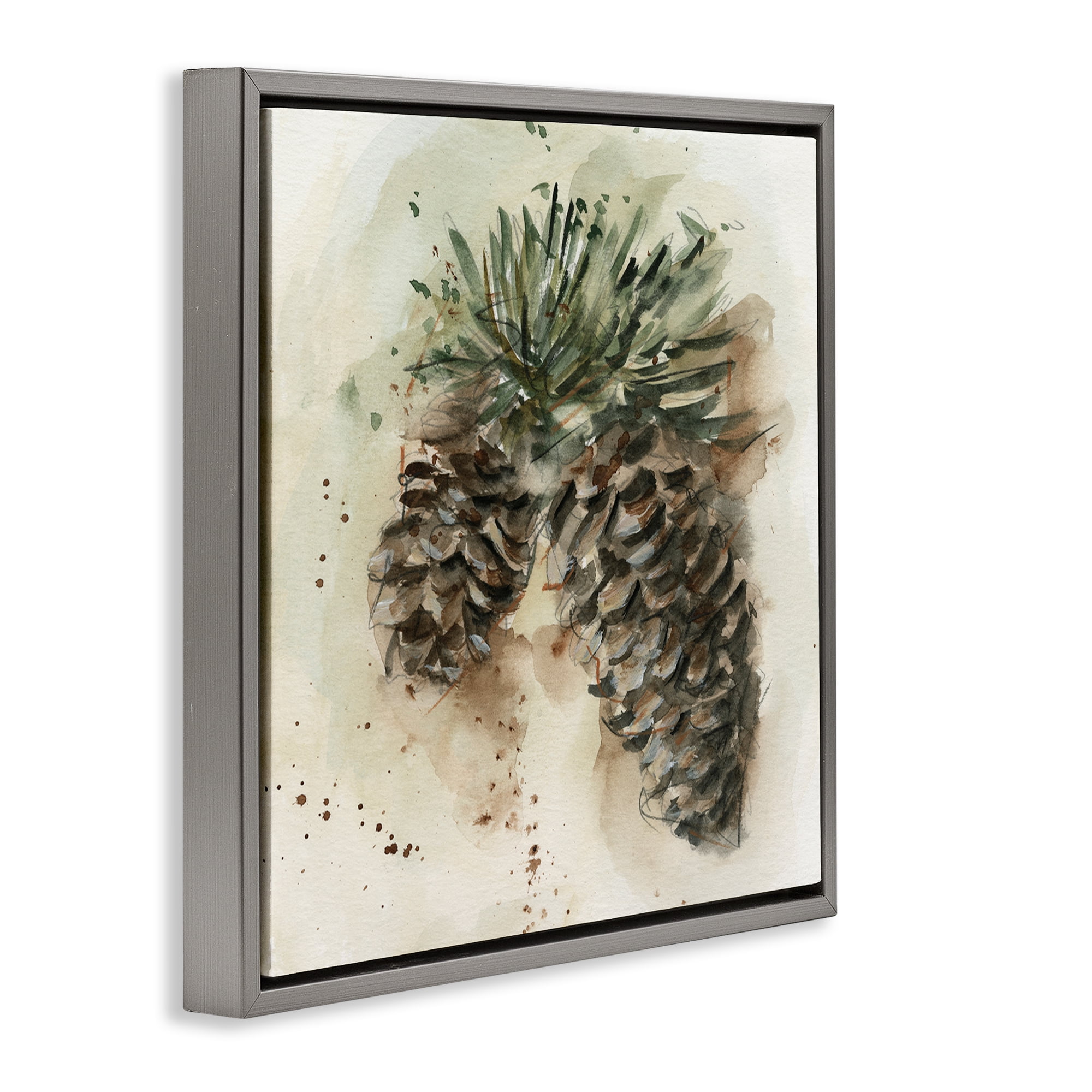 Stupell Industries Pine Cone Watercolor Plants & Flowers Painting Gray Floater Framed Canvas Art Print Wall Art, 18 x 18