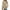Khaki, variant on Fantaslook Eyelet Blouses for Women Dressy Casual Long Sleeve Shirts Crew Neck Fall Trendy Tops