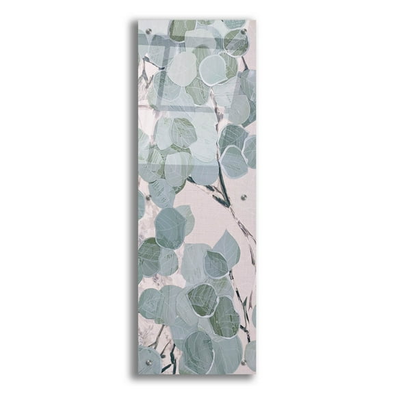 Epic Art 'Eucalyptus Vert 1' by Coco Good Acrylic Glass Wall Art, 12" x 36"