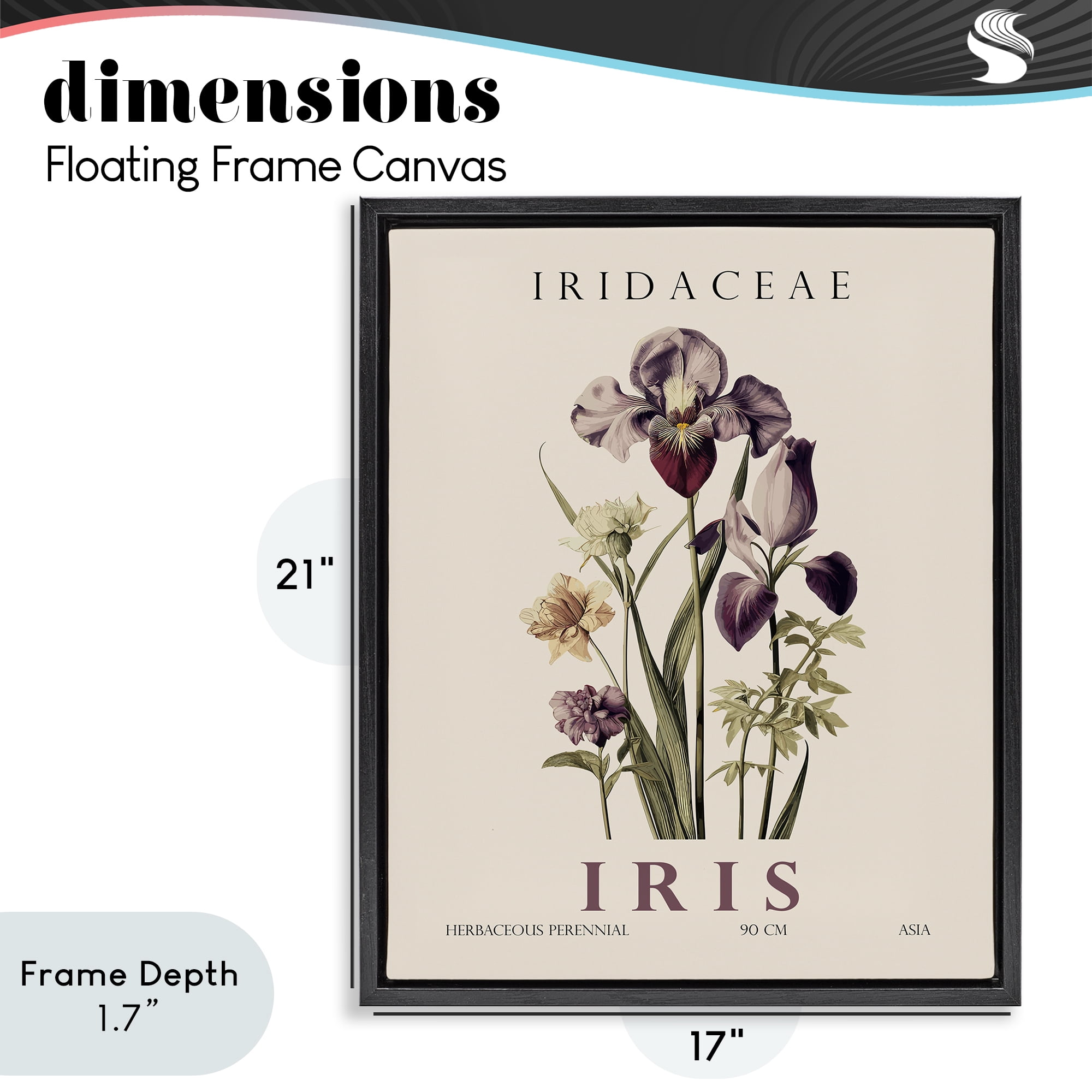 Stupell Industries Natural Iris Bundle Black Framed Floater Canvas Wall Art, design by Christopher Giampietro