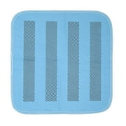 Platinum Care Pads Heavyweight Chair Pad/Underpad Washable With Anti-Slip Backing Size - 17X24 Blue