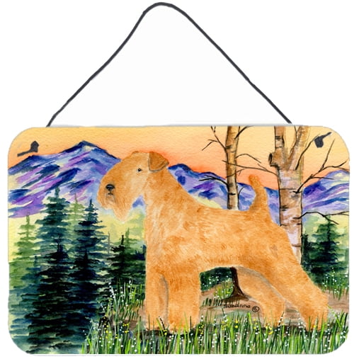 Carolines Treasures SS8168DS812 Lakeland Terrier Indoor Aluminum Metal Wall or Door Hanging Prints, 8 x 12", Multicolor