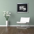thumbnail image 3 of Trademark Fine Art "Getting There" Canvas Art by Philippe Sainte-Laudy, Black Matte, Silver Frame, 3 of 4
