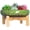 Green, variant on GYA Succulent Pots - 10 Inch Large Ceramic Bonsai Pots with Drainage Stand for Indoor Plants Shallow Planters Decorative Cactus Flower Plant Container Bowl