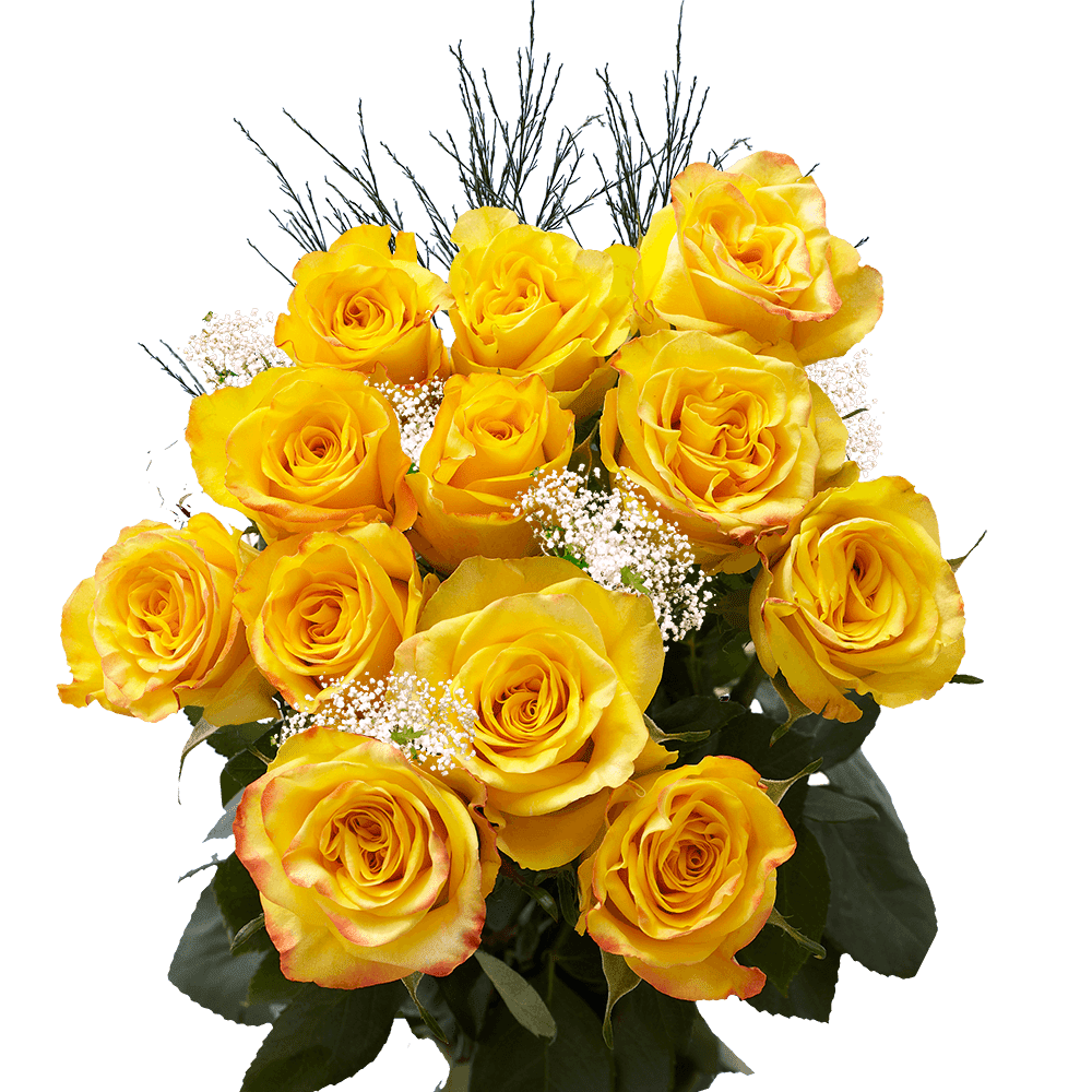 One Dozen Yellow Roses with Baby's breath and Green- Fresh Flower ...