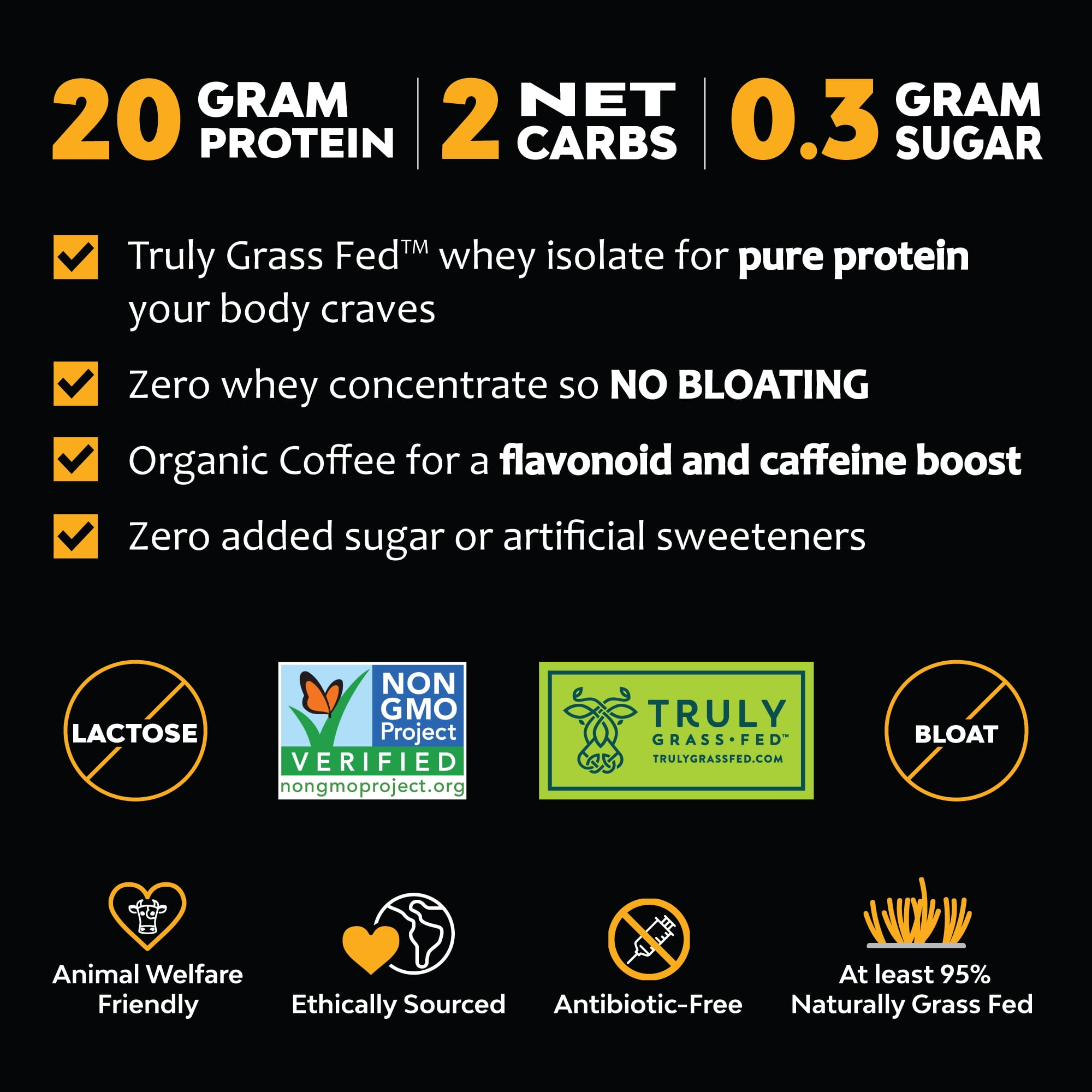 MariGold Protein Coffee Powder - Iced Café Mocha, 20g Grass Fed Whey, Workout Boost, Organic Espresso, Non-GMO, 1 lb