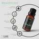 thumbnail image 4 of Aceite Esencial de Eucalipto (Eucalyptus Globulus) - 100% PURO PREMIUM QUALITY - 15 ML TY CARE ESSENTIAL OIL Aceite Esencial de Eucalipto (EUCALYPTUS GLOBULUS)., 4 of 6