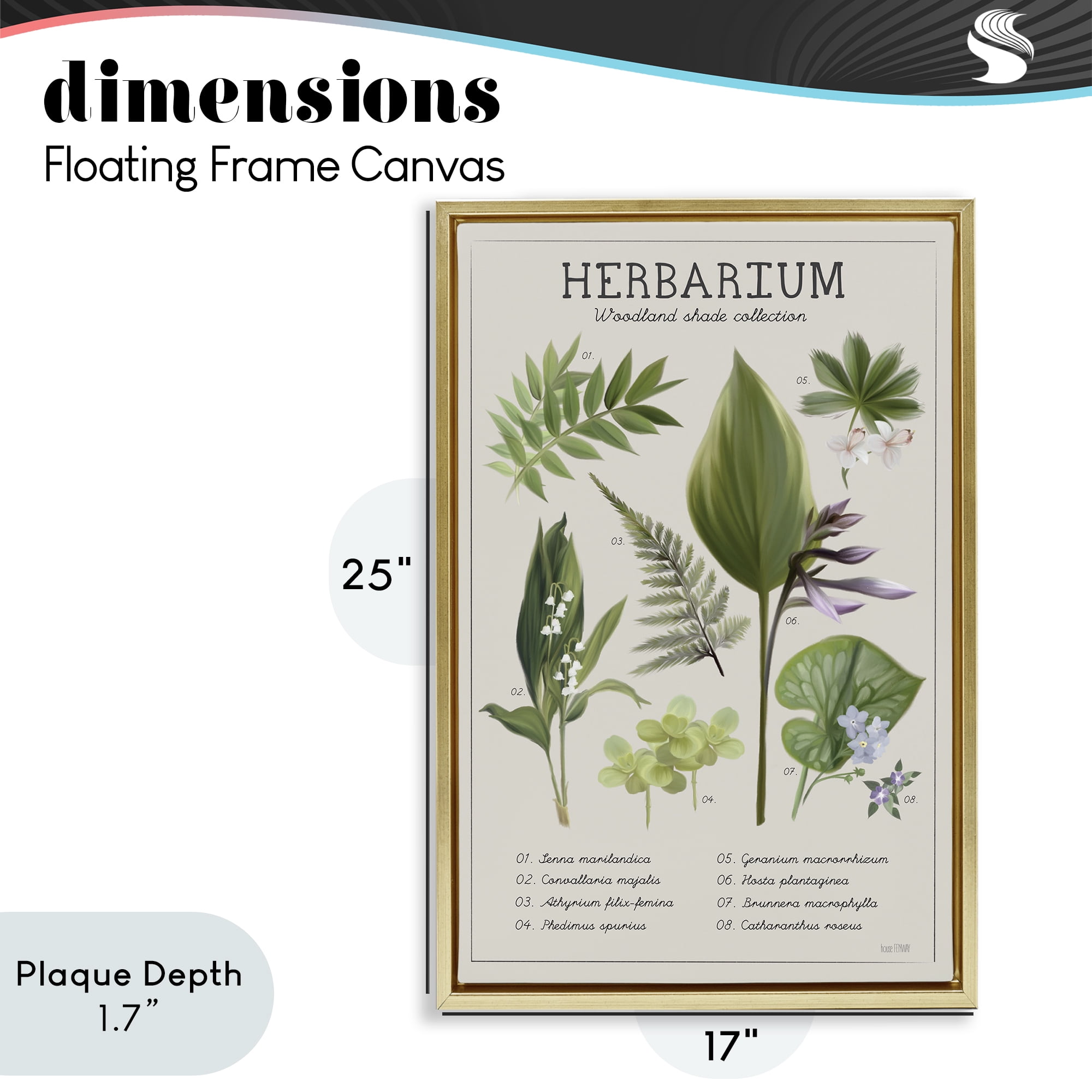 Stupell Industries Herbarium Woodland Shade Collection Gold Framed Floater Canvas Wall Art, design by House Fenway