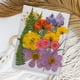 thumbnail image 4 of Advancent Artesanía de flores secas naturales Flores prensadas Ramos en relieve Decoración para tarjetas de boda Pintura de álbum de recortes Flores artificiales Typ 2 Advancent HA010760-02, 4 of 6