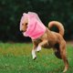 thumbnail image 4 of Greenadscape Cubierta De Orejas Para Perro Rosa Con De Manga Que Y Facilita Ventilación, 4 of 6