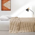 thumbnail image 4 of Puredown Oversized Bed Blanket Lyocell Soft Breathable Cooling 75% Down Fill Summer Comforter for Hot Sleepers, 4 of 4