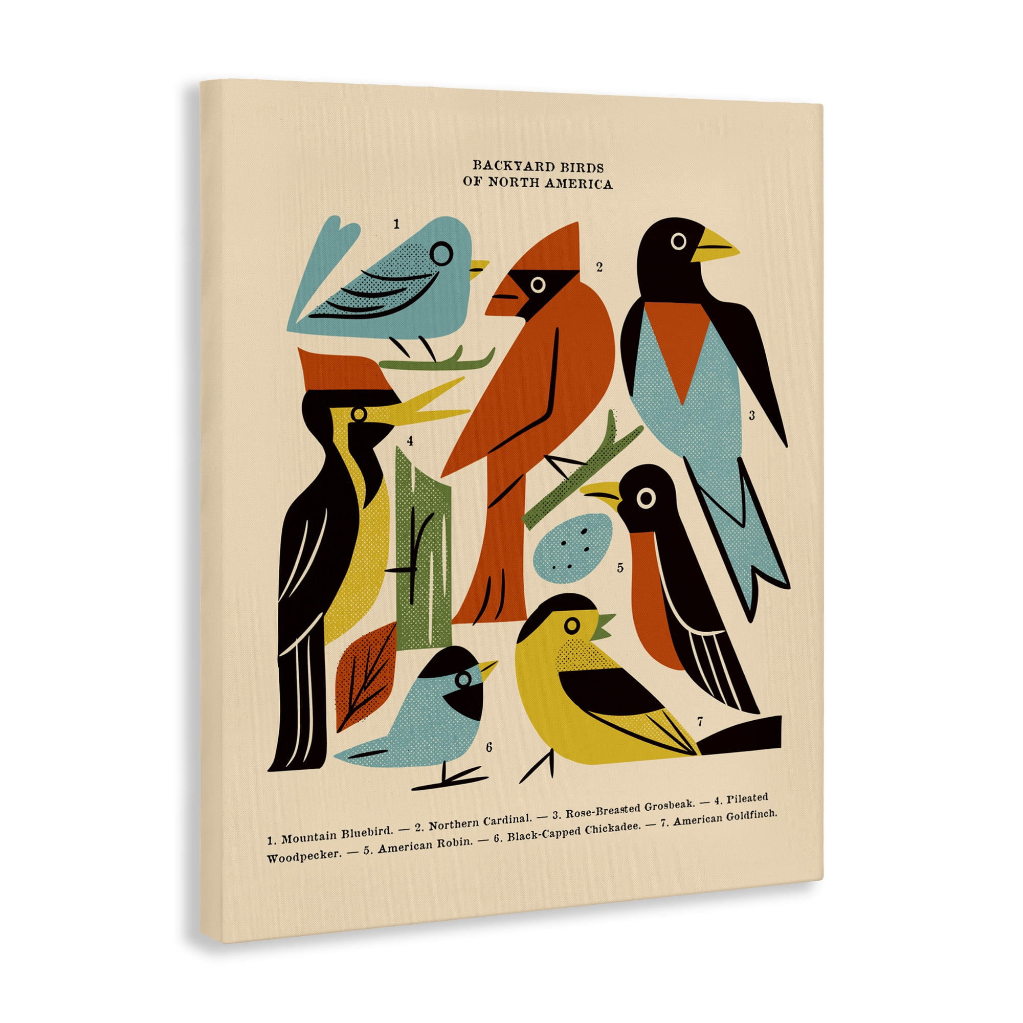 Backyard Birds Midcentury Modern Canvas Wall Art, design by Renea L. Thull