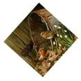 thumbnail image 2 of Injueey Animal Circular diamante pintura 5D completo taladro bordado artesanía Diy Animal hogar pared decoración Kit Artesanía Injueey HA6443-00B, 2 of 6