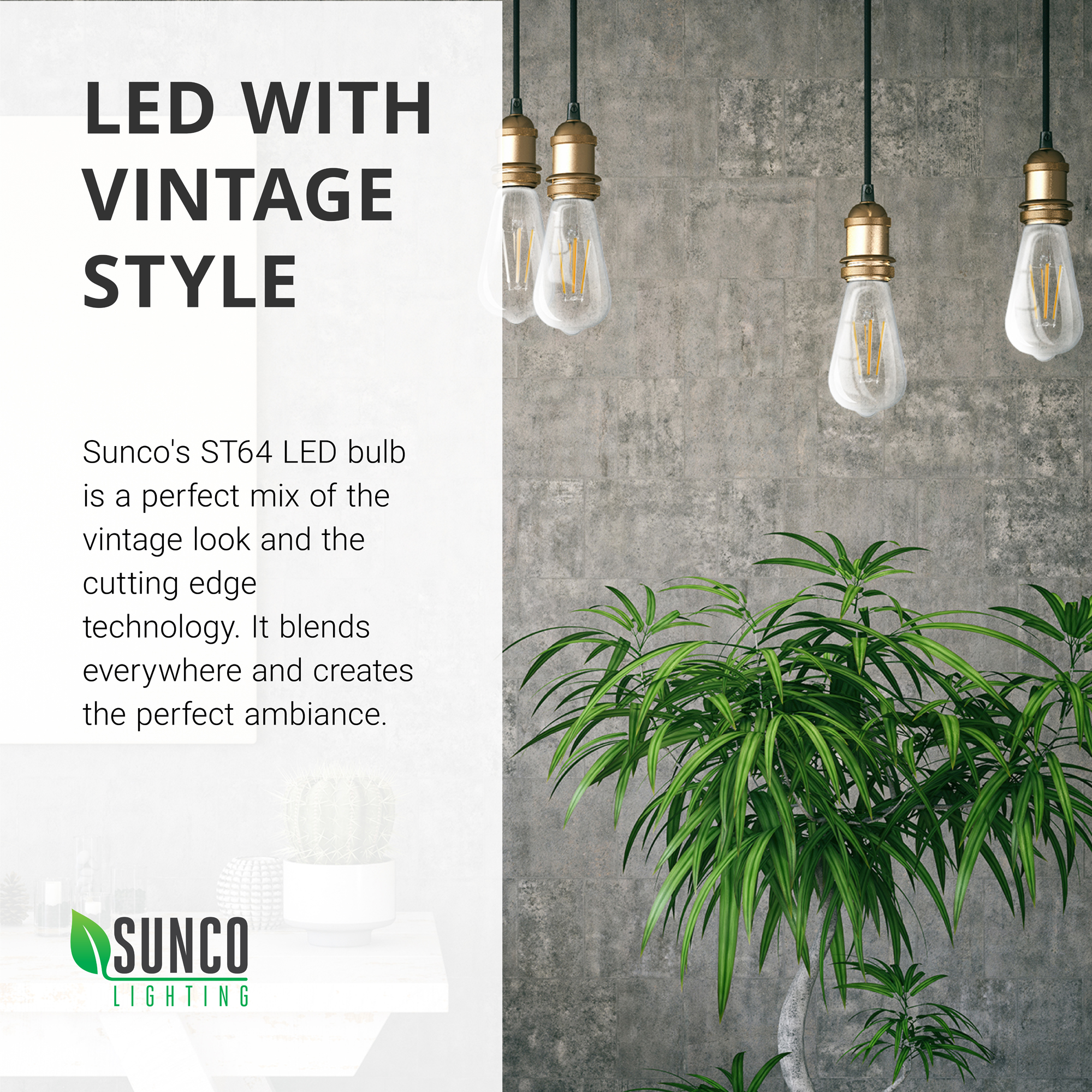 Sunco Lighting 16 Pack ST64 LED Bulb, Dimmable, Waterproof, 8.5W=60W, 3000K Warm White, Vintage Edison Filament Bulb, 800 LM, E26 Base, Restaurant or String Lights - UL & Energy Star