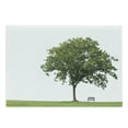 thumbnail image 1 of Tree Cutting Board, Bench Under Majestic Tree Looks Like Solitude in Habitat Environment Design, Decorative Tempered Glass Cutting and Serving Board, Large Size, Green White, by Ambesonne, 1 of 1
