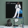 thumbnail image 4 of Rick James Singer Poster Print Canvas Wall Art (19) Artworks Canvas Poster Room Aesthetic Wall Art Prints Home Modern Decor Gifts 28x28inch(70x70cm), 4 of 5