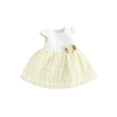 thumbnail image 1 of Sylvamorning Robe à Manches Courtes pour Bébé Fille, Robe Trapèze en Tulle à Mailles Superposées avec Fleurs, Robe Décontractée pour Nourrisson à Col Rond, Robe de Princesse pour Fête, Vêtements d'Été Mignons pour Tout-Petit 6M 12M 18M 24M, 1 of 9