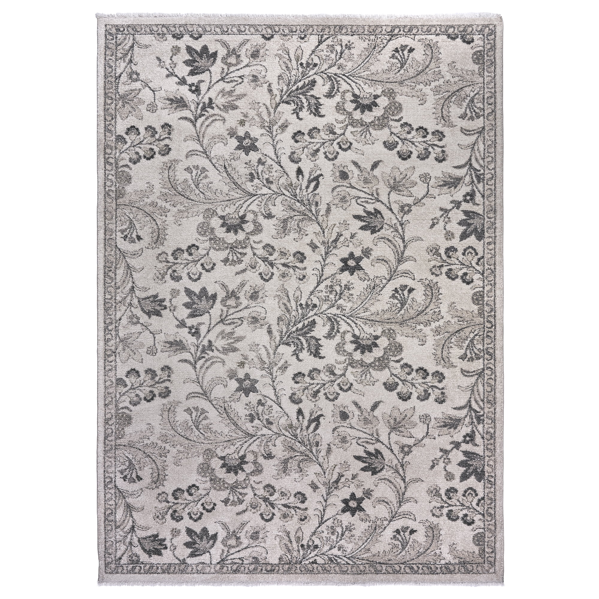 Paradis Noctis Transitional Floral Beige Area Rug, 8x10